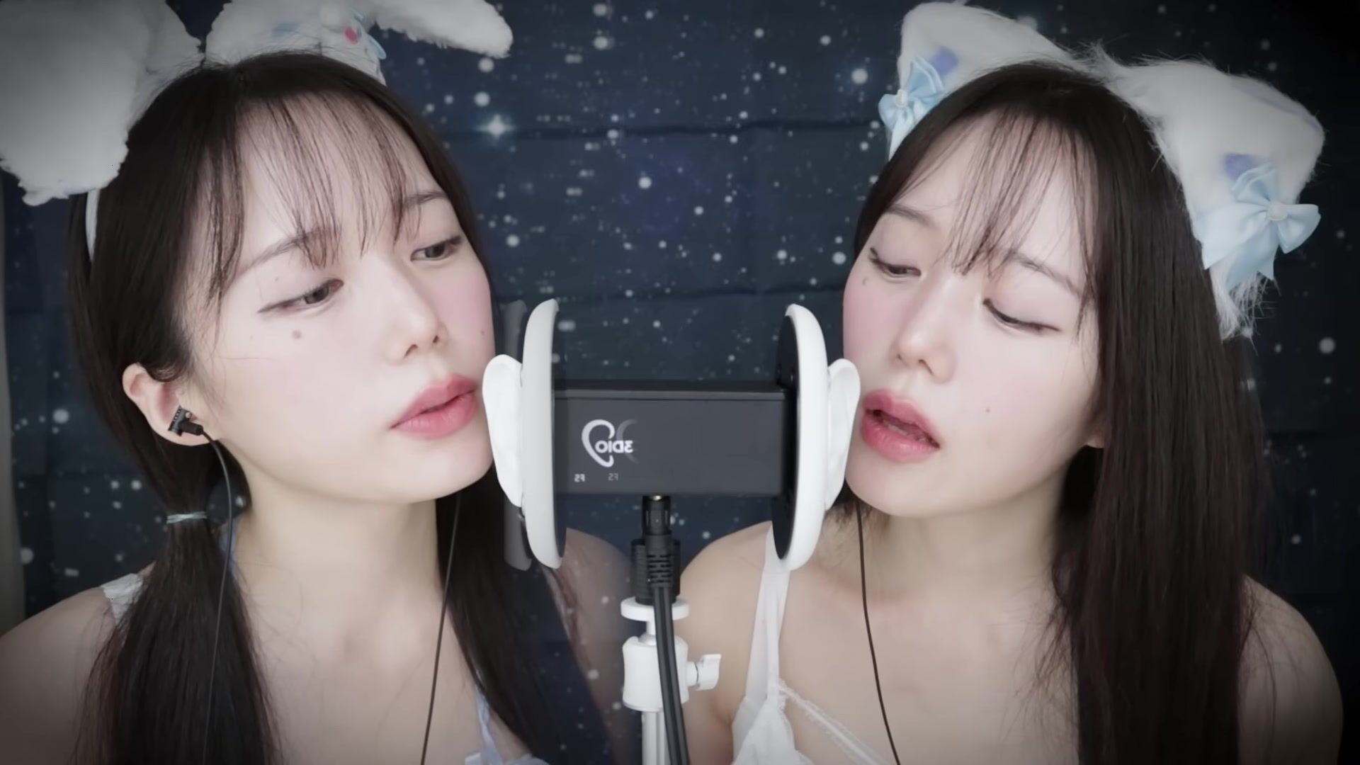 Jamonghae ASMR - 12 April 2026 - ASMR 토끼&고양이 쌍둥이의 수면 치료