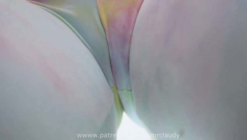 Claudy ASMR - 11 April 2026 - Obsessed Girl | Knight Tear