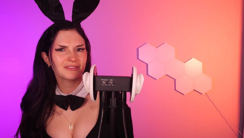 Busy B ASMR - 6 April 2026 - Bunny Girl Ear Eating