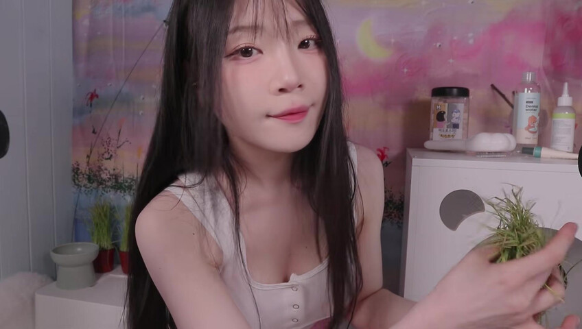 [asmr]nara_나라 - 24 avril 2026 - Dors bien, mon adorable minou