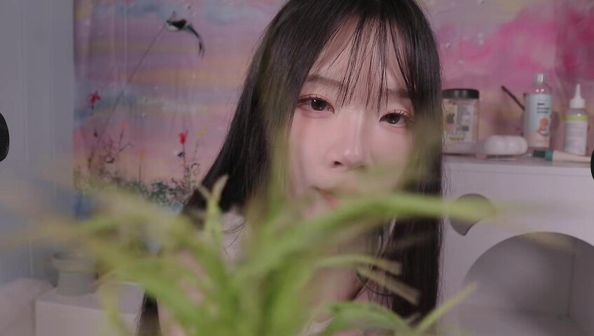 [asmr]nara_나라 - 24 avril 2026 - Dors bien, mon adorable minou