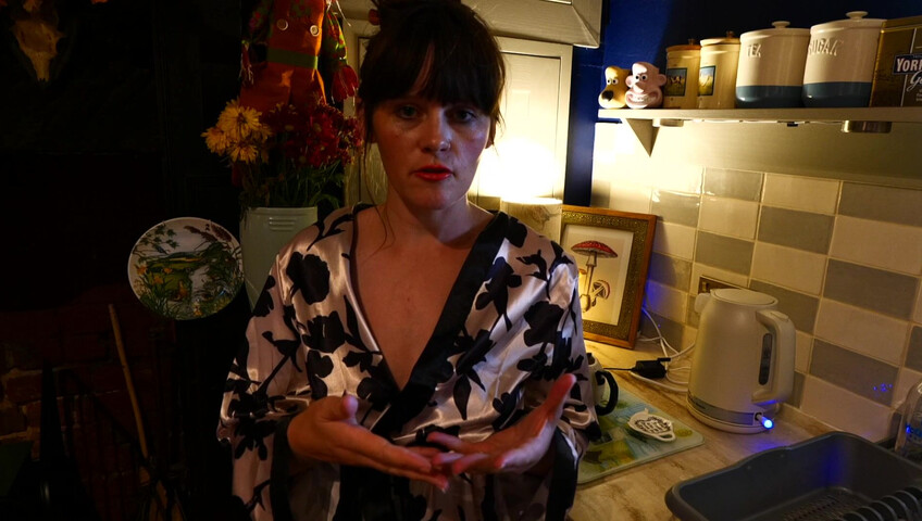 Sydney Harwin - MOMMY, THE SIMULATION AND EVERYTHING AFTER