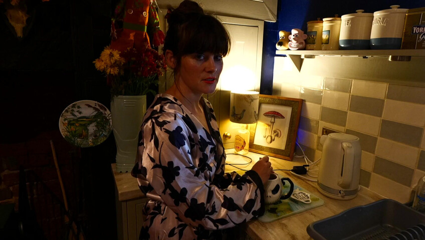 Sydney Harwin - MOMMY, THE SIMULATION AND EVERYTHING AFTER