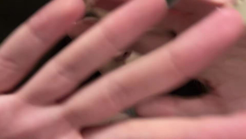 Beebee ASMR - 2 June 2026 -  Upclose LOFI ASMR (Fast Tapping, Unpredictable Triggers