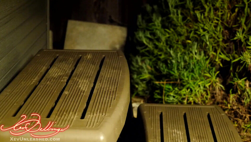 Xev Bellringer -  Slutbot sister