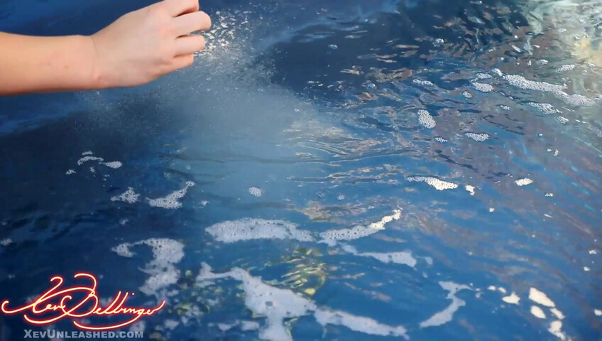 Xev Bellringer -  Slutbot sister