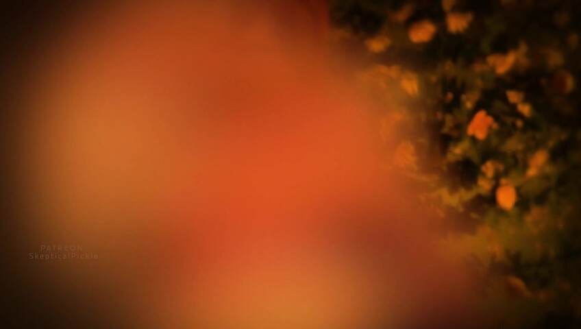 SkepticalPickle ASMR - 30 October 2025 - A Wholesome Morning Succubus? | Platinum Tier