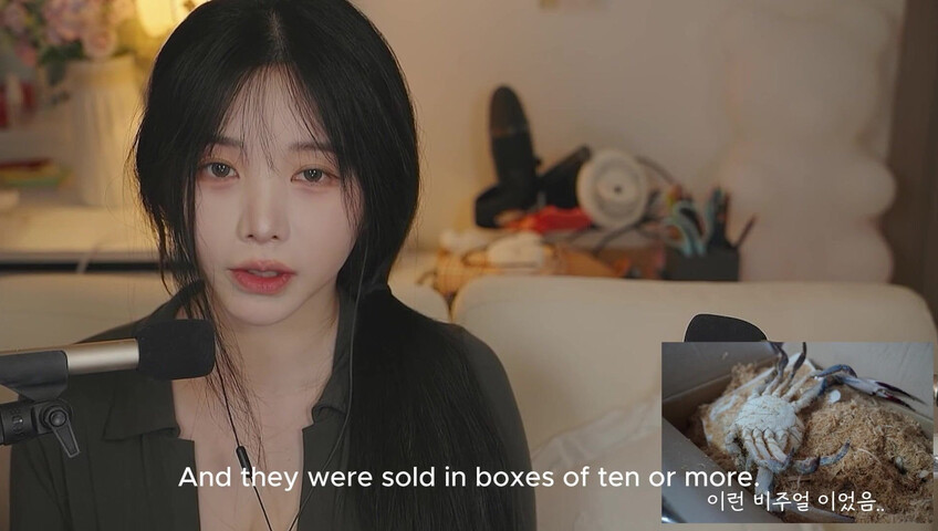 YoonYing ASMR - Final- Chatting About Updates & Putting You to Sleep [ENG SUB]