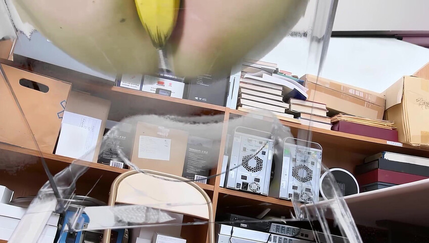 Uying ASMR - Invisible Woman Shoplyfter