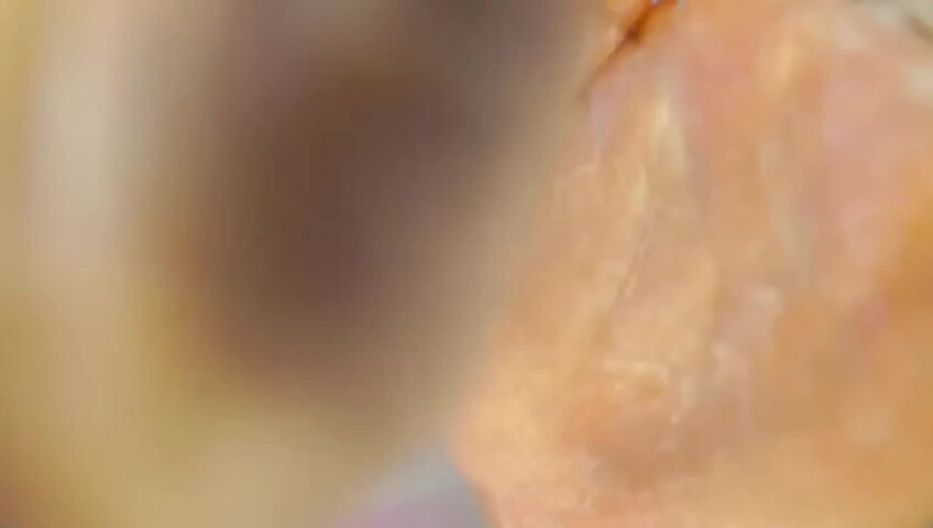 Dollblush ASMR - Everythings Going To Be Okay!