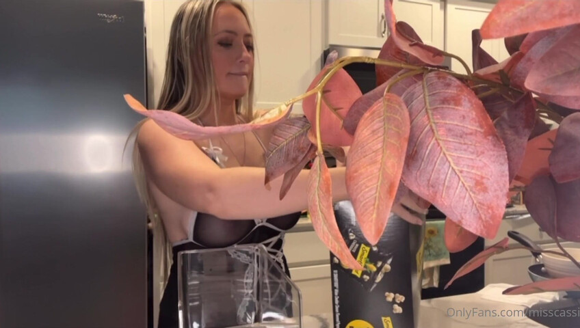 Cassi ASMR - 22 October 2025 - Maid Cleans Your House Just as You Ask FOR