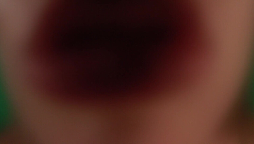 FrivolousFox ASMR - Foggy Kisses ASMR