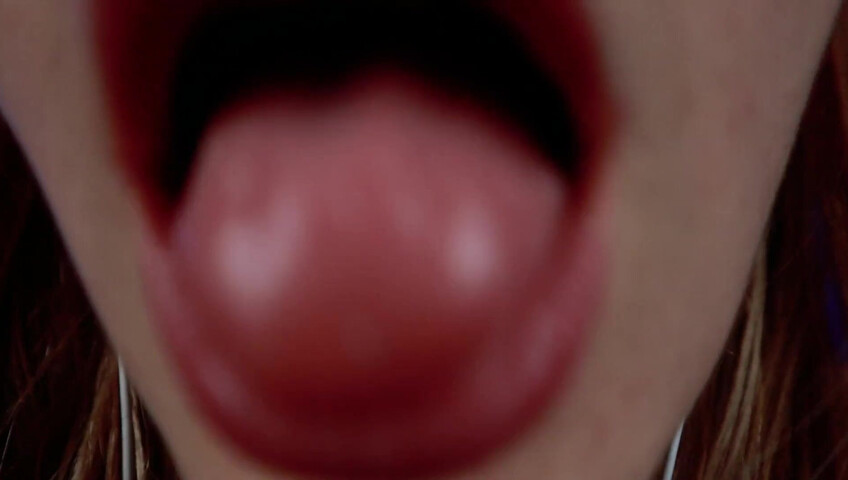 Busy B ASMR - 21 July 2025 - Your Cat is Licking & Scratching You