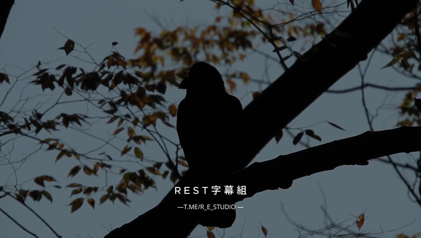 ASMR Yoon Ying - Succubus Dream Date- Makima ASMR Roleplay [ENG SUB]