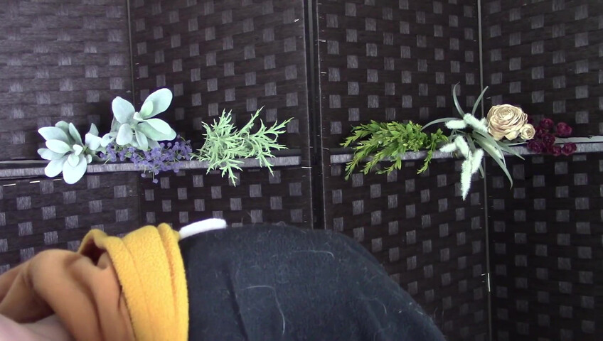 Amy Kay ASMR - sleepy forest girl goes down on your dick