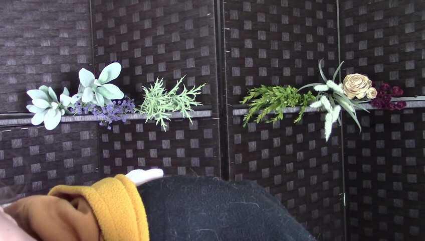 Amy Kay ASMR - sleepy forest girl goes down on your dick