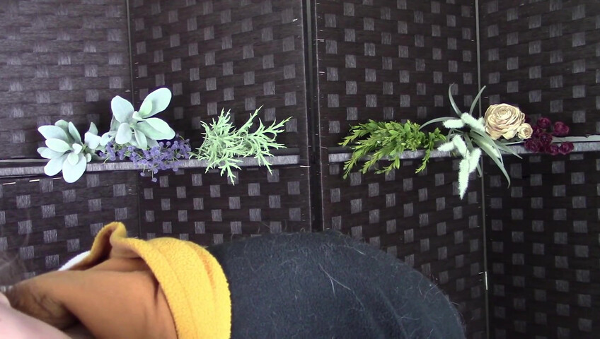 Amy Kay ASMR - sleepy forest girl goes down on your dick