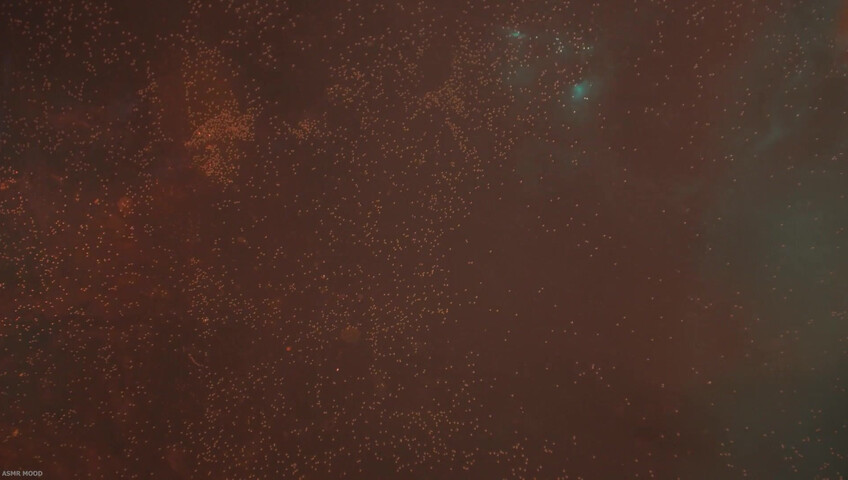 MOOD ASMR - 31 October 2025 - ASMR | Special Potion for You | RP