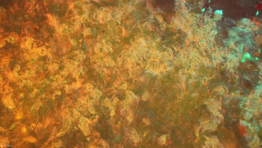 MOOD ASMR - 31 October 2025 - ASMR | Special Potion for You | RP