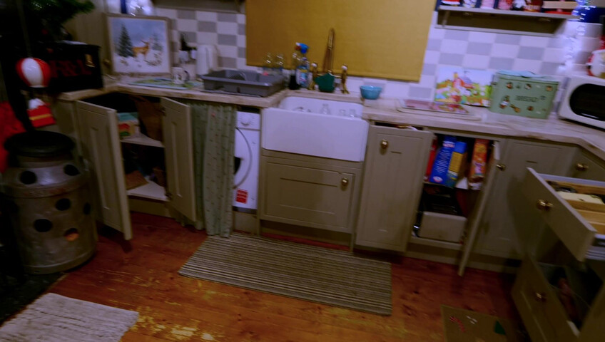 Sydney Harwin - The Poltergeist