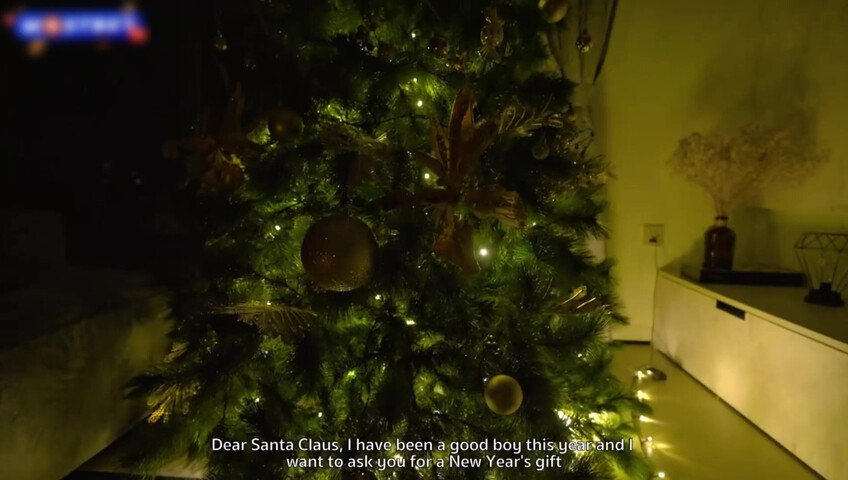 Diana Rider - The Best Christmas Gift For A Fan