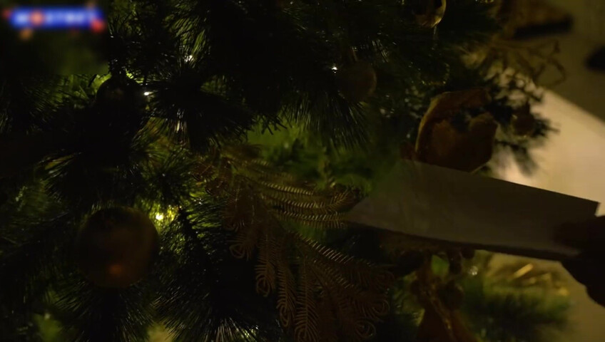 Diana Rider - The Best Christmas Gift For A Fan