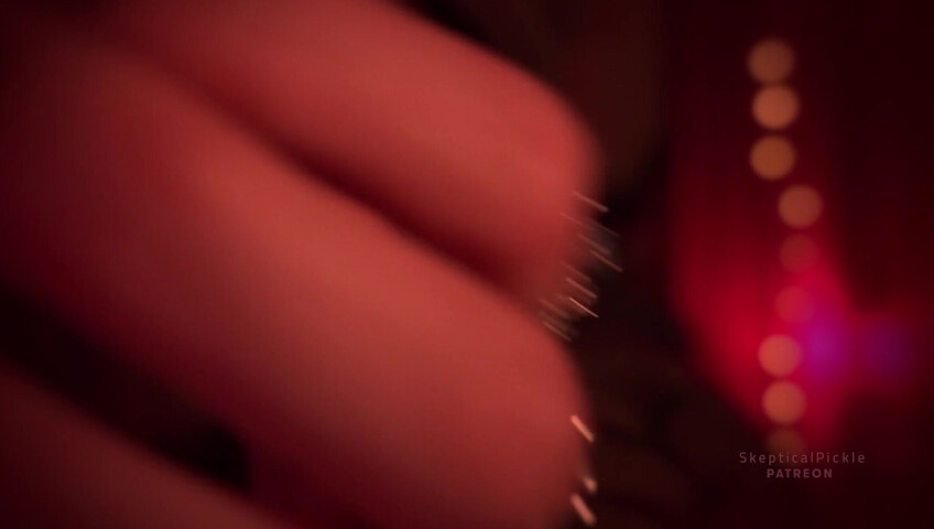 SkepticalPickle ASMR - 31 December 2025 - New Year, New Lens (Golden Tier)