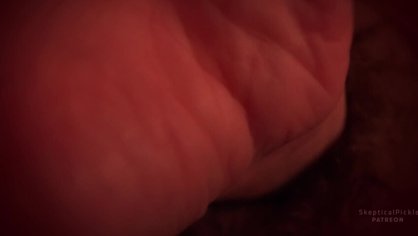 SkepticalPickle ASMR - 31 December 2025 - New Year, New Lens (Golden Tier)