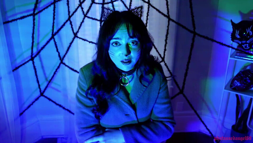 Phatassedangel69 - Feline Perrsuasion