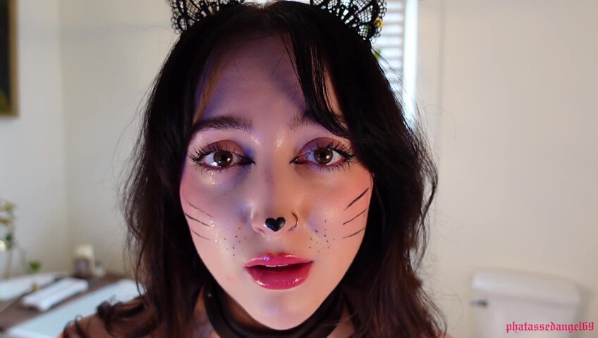 Phatassedangel69 - Feline Perrsuasion