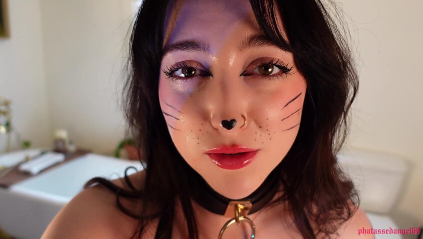 Phatassedangel69 - Feline Perrsuasion