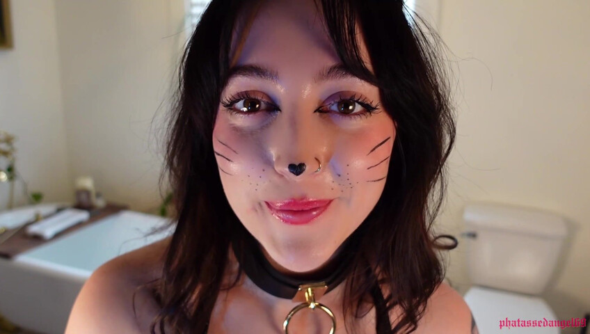 Phatassedangel69 - Feline Perrsuasion