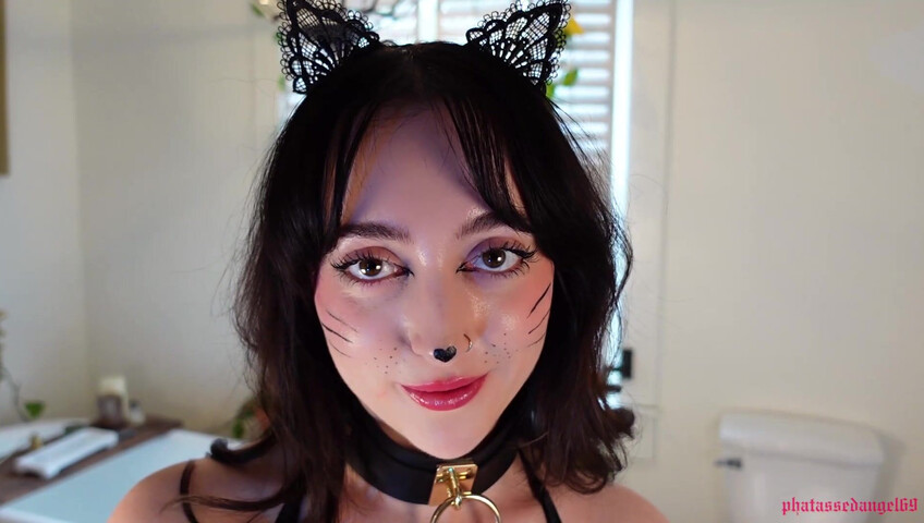 Phatassedangel69 - Feline Perrsuasion