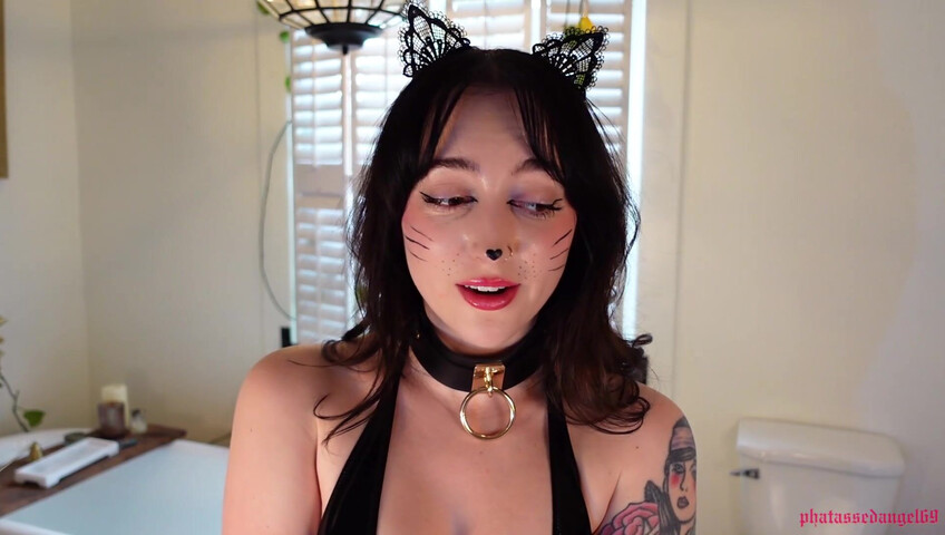 Phatassedangel69 - Feline Perrsuasion
