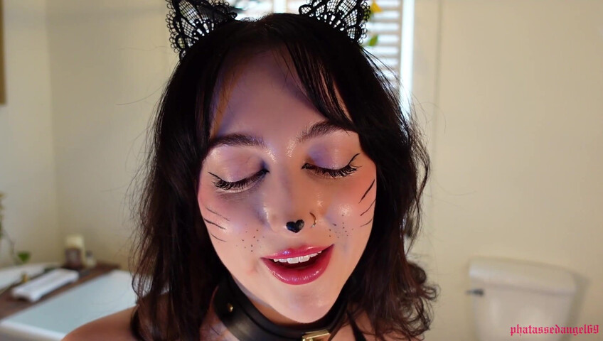 Phatassedangel69 - Feline Perrsuasion