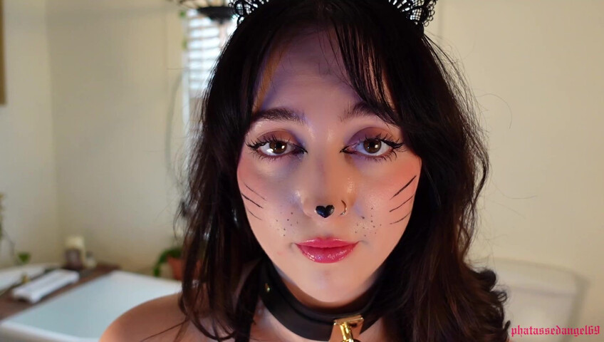 Phatassedangel69 - Feline Perrsuasion