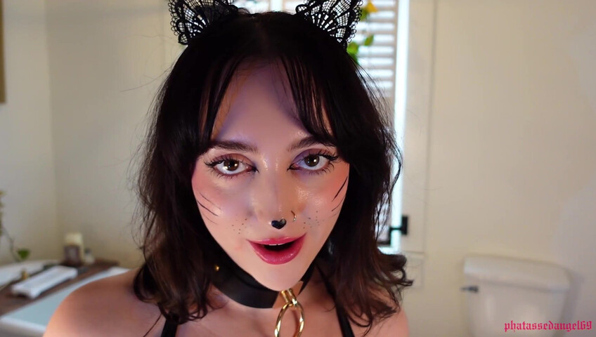 Phatassedangel69 - Feline Perrsuasion