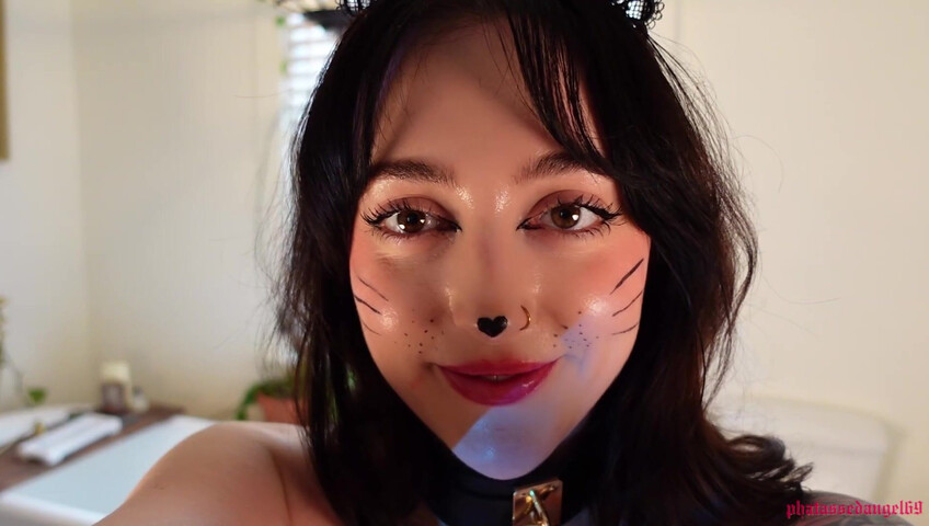 Phatassedangel69 - Feline Perrsuasion