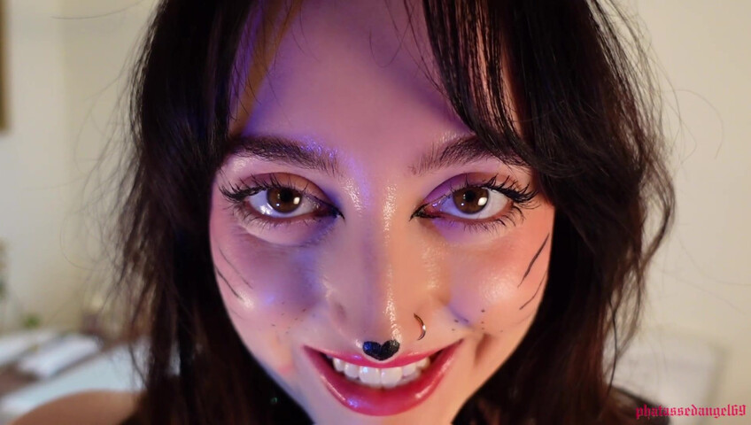 Phatassedangel69 - Feline Perrsuasion