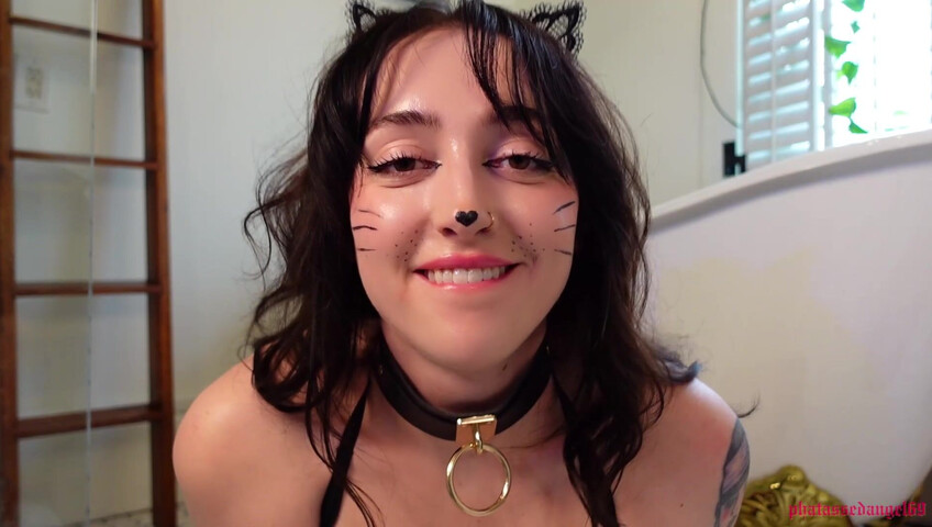 Phatassedangel69 - Feline Perrsuasion