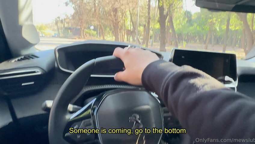 Mewslu7 - THE COMPLETE GIRLFRIEND EXPERIENCE 2