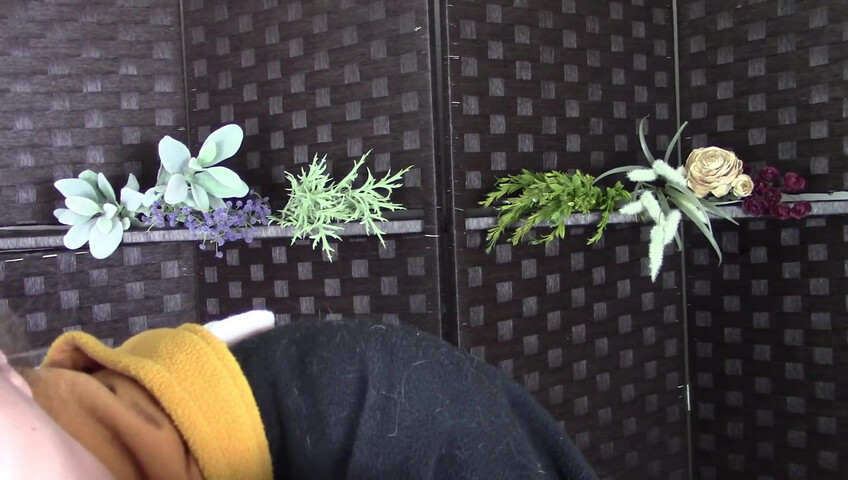 Amy Kay ASMR - Sleepy forest girl sucks on your dick