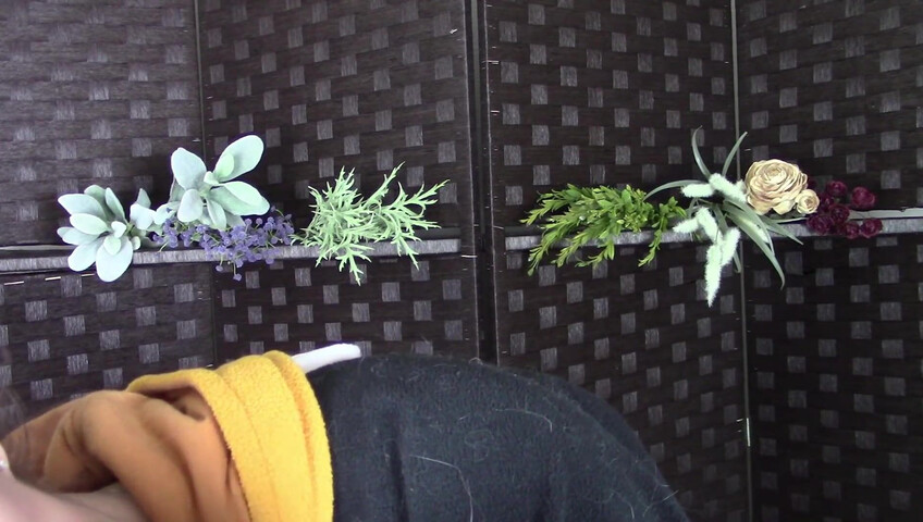 Amy Kay ASMR - Sleepy forest girl sucks on your dick