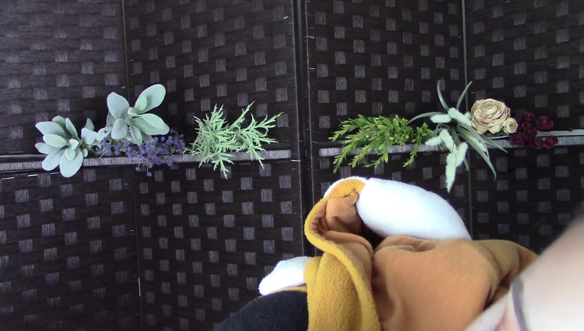 Amy Kay ASMR - Sleepy forest girl sucks on your dick