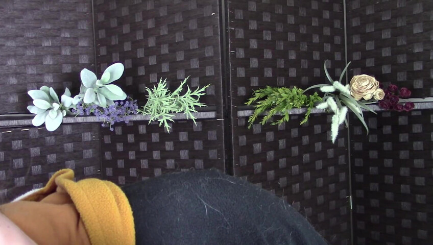 Amy Kay ASMR - Sleepy forest girl sucks on your dick