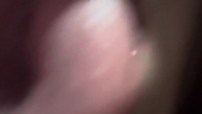 MadzzWorld - (kisses-licking)