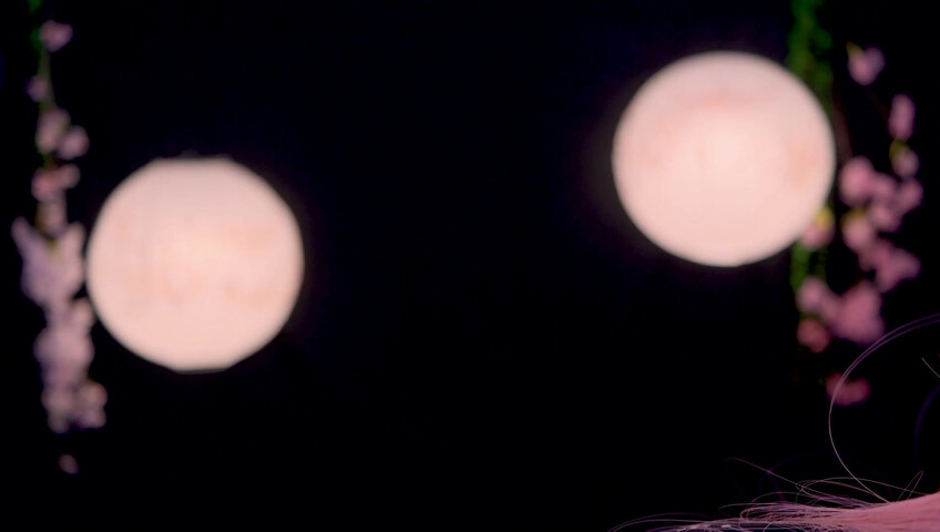 Maimy - Innocent Fox Girl Roleplay