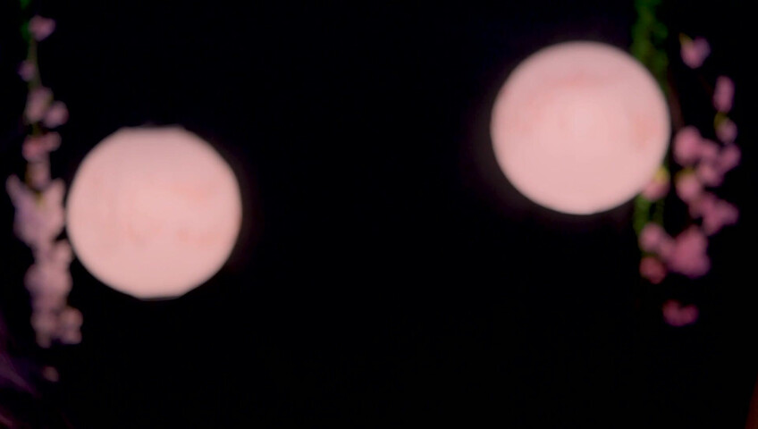 Maimy - Innocent Fox Girl Roleplay