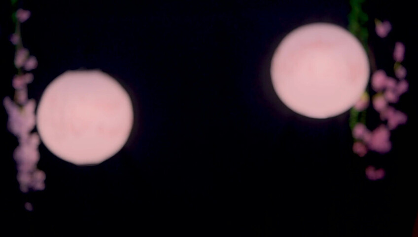 Maimy - Innocent Fox Girl Roleplay