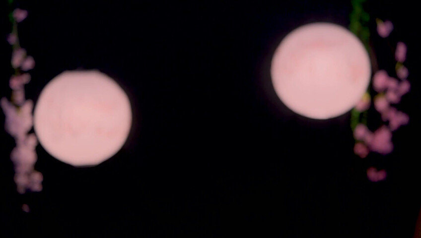 Maimy - Innocent Fox Girl Roleplay